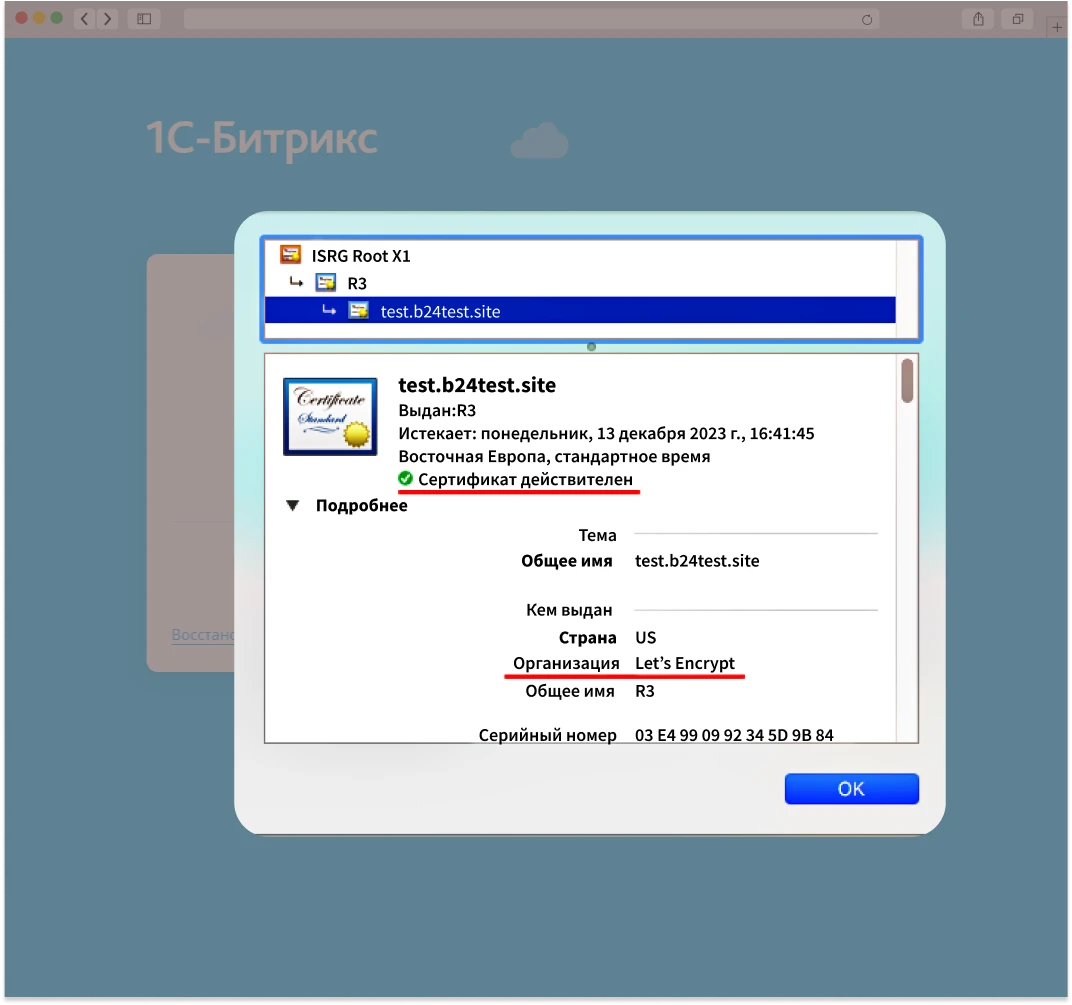 готовый сертификат
