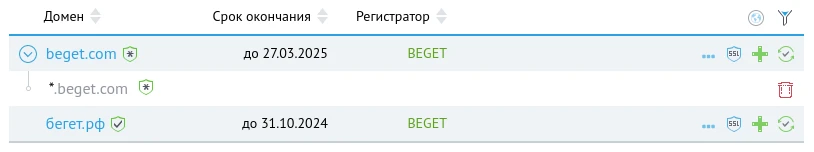 Wildcard-поддомен