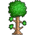 Terraria