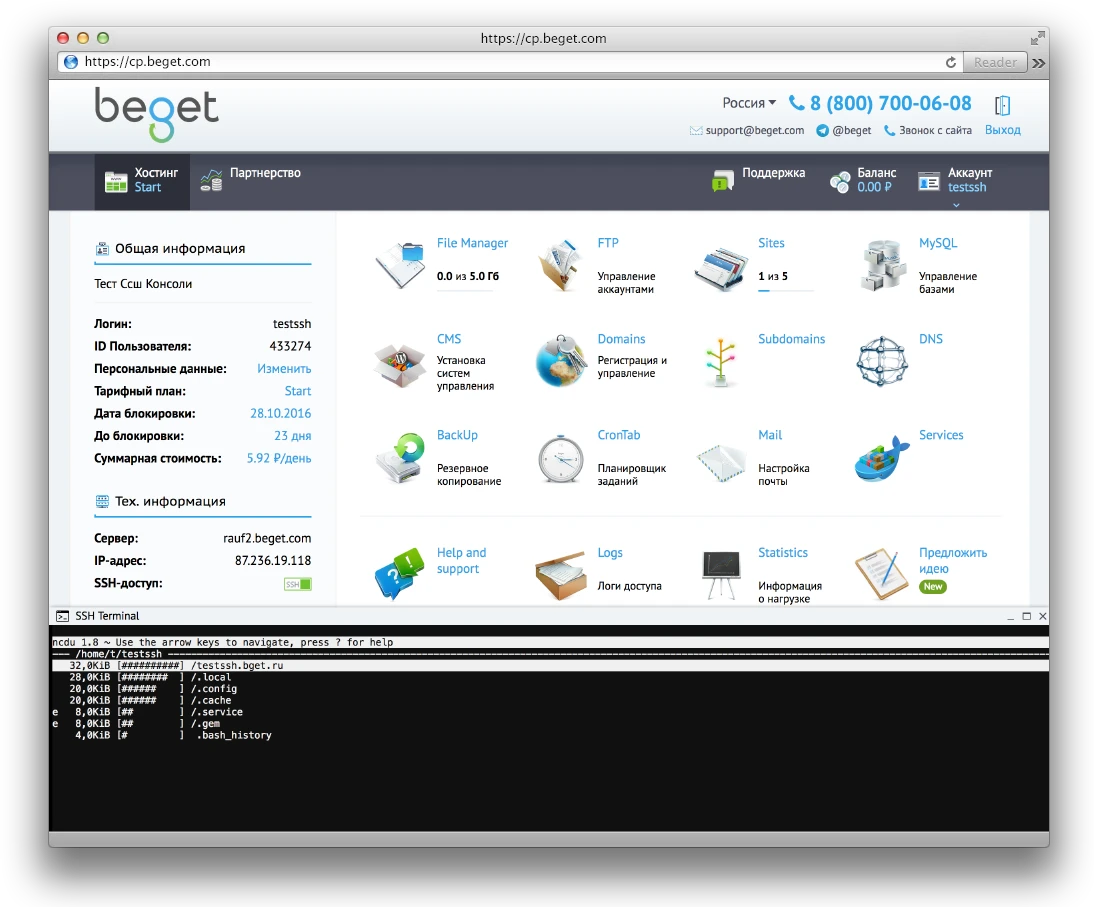 терминал бегет